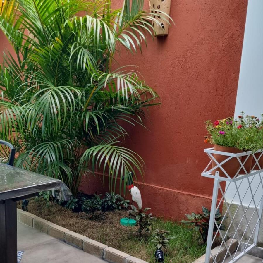Perola De Bombinhas Hotel Exterior photo